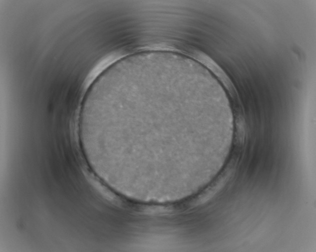 X0000113111002200910091156