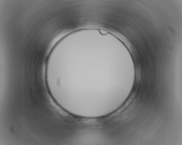 X0000113111006200910091156