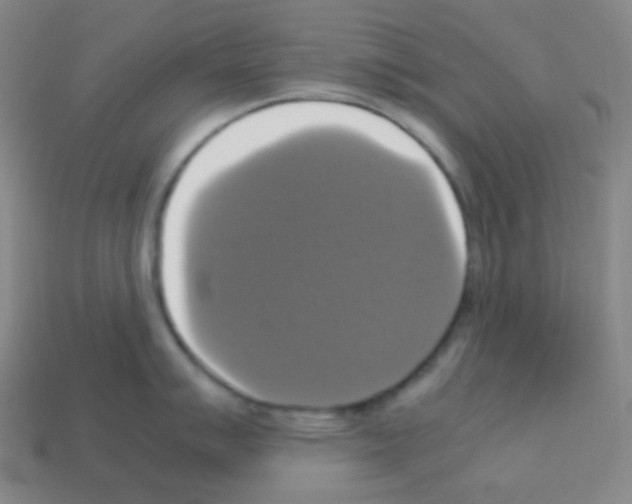 X0000113111007200910091156