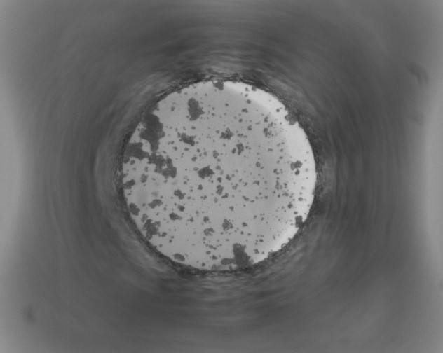 X0000113111009200910091155