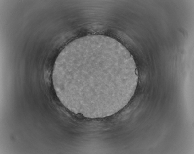 X0000113111010200910091155