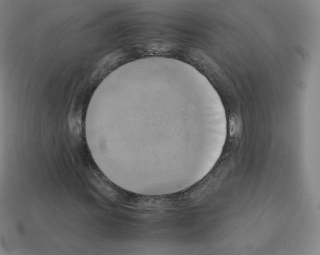 X0000113111011200910091155