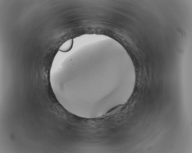 X0000113111013200910091155