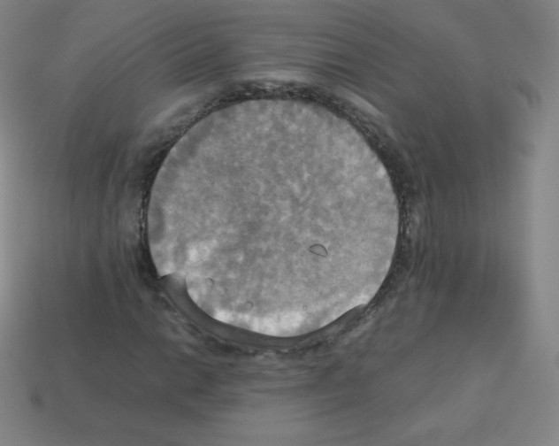 X0000113111014200910091155