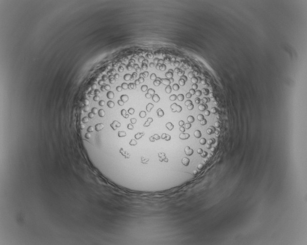 X0000113111016200910091155