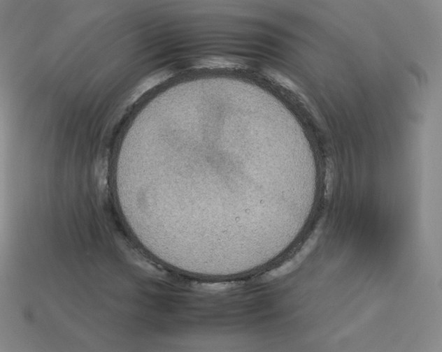 X0000113111017200910091155