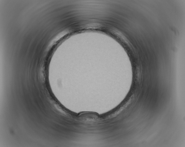 X0000113111018200910091155