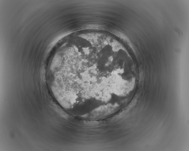 X0000113111019200910091155