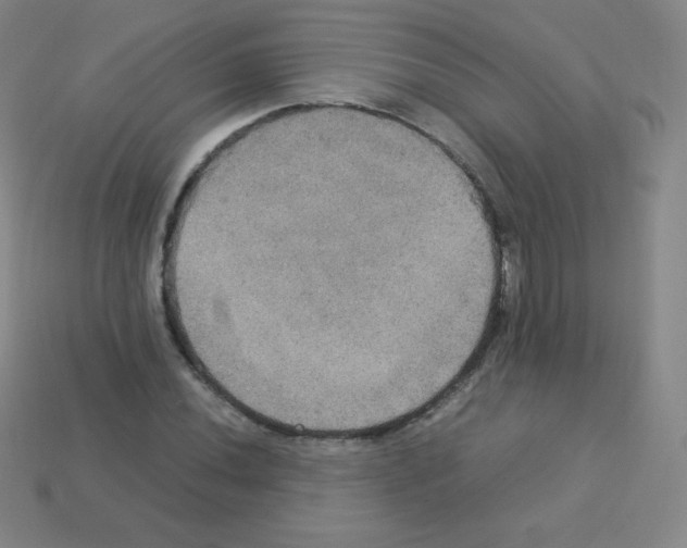 X0000113111020200910091155