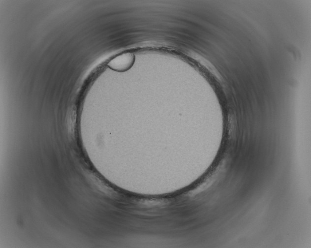 X0000113111021200910091155