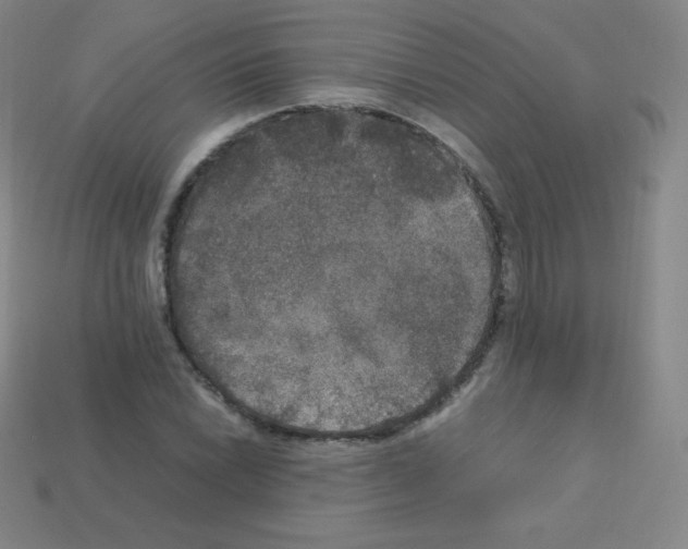 X0000113111022200910091155