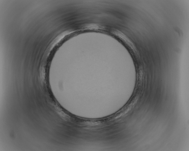 X0000113111023200910091155