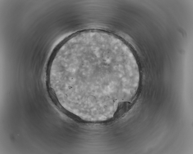 X0000113111024200910091155