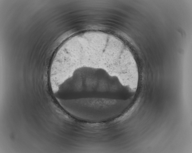 X0000113111025200910091155