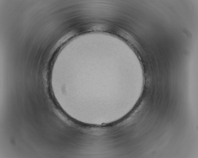 X0000113111026200910091155