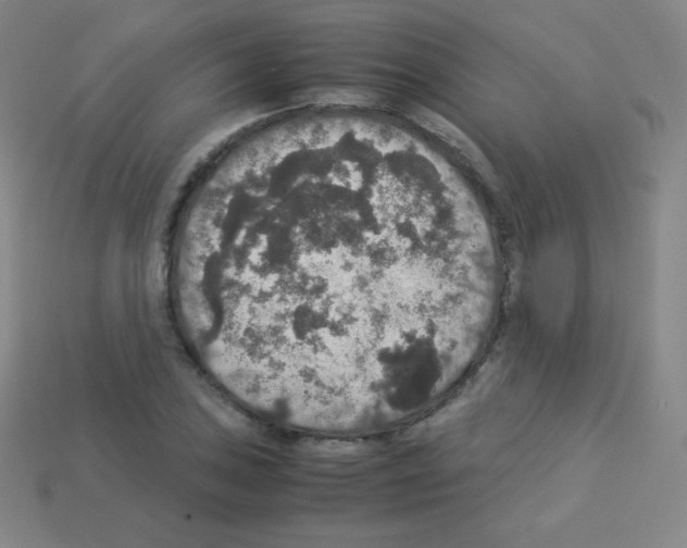 X0000113111027200910091155