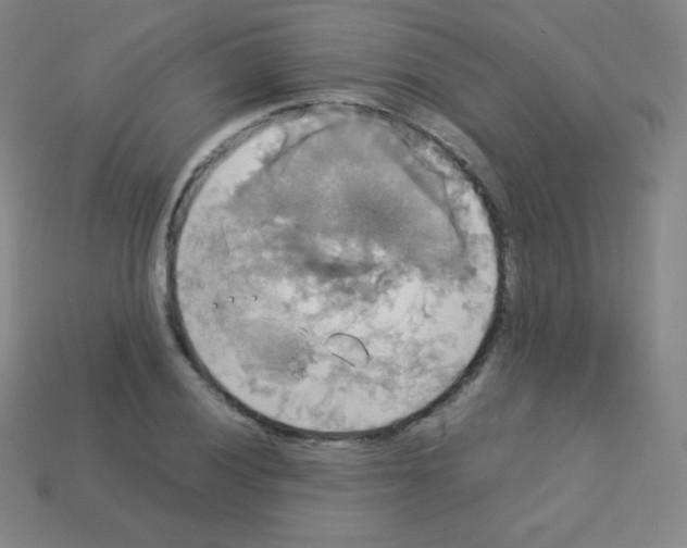 X0000113111028200910091155