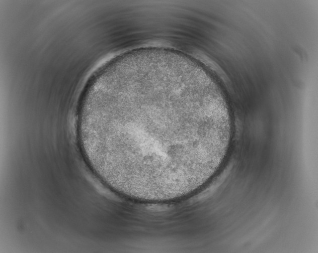 X0000113111029200910091155