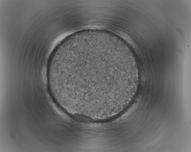 X0000113111030200910091155