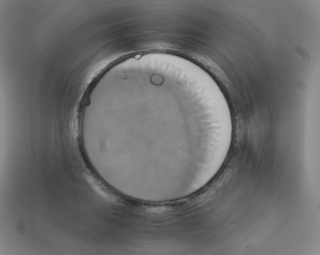 X0000113111031200910091155