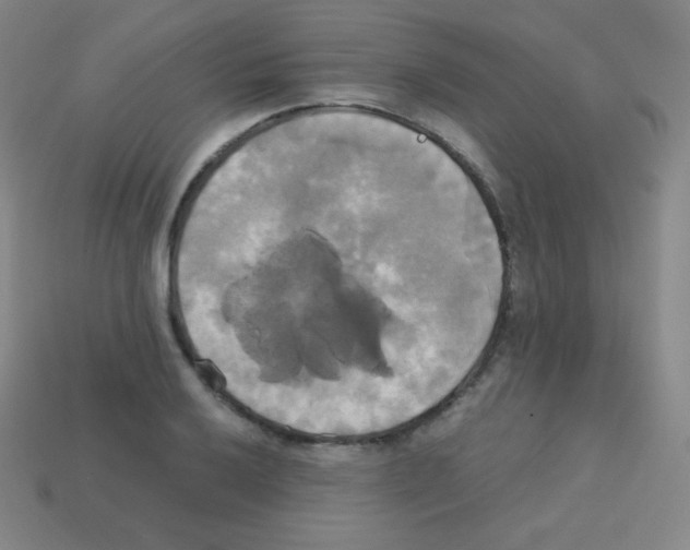 X0000113111032200910091155