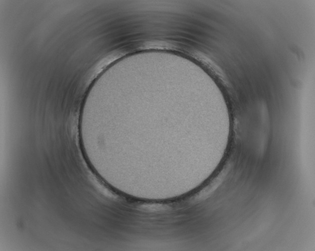 X0000113111033200910091155