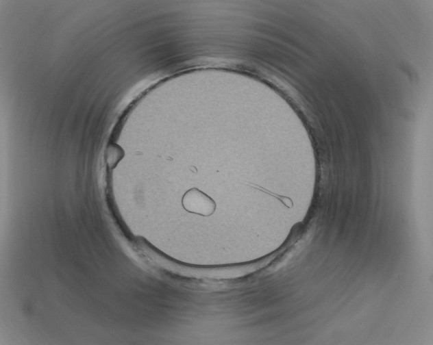 X0000113111034200910091155