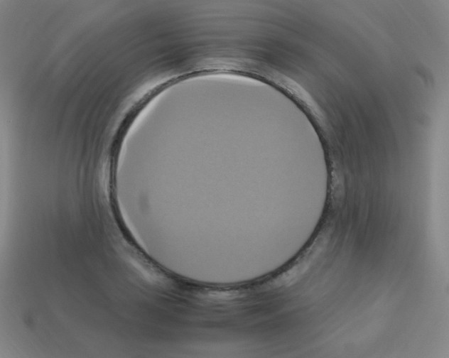 X0000113111035200910091155