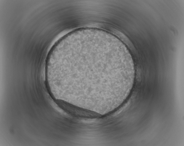 X0000113111036200910091155