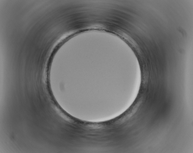 X0000113111037200910091155