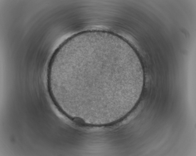 X0000113111038200910091155