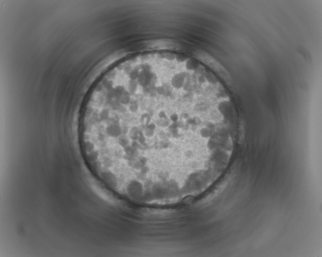 X0000113111039200910091155