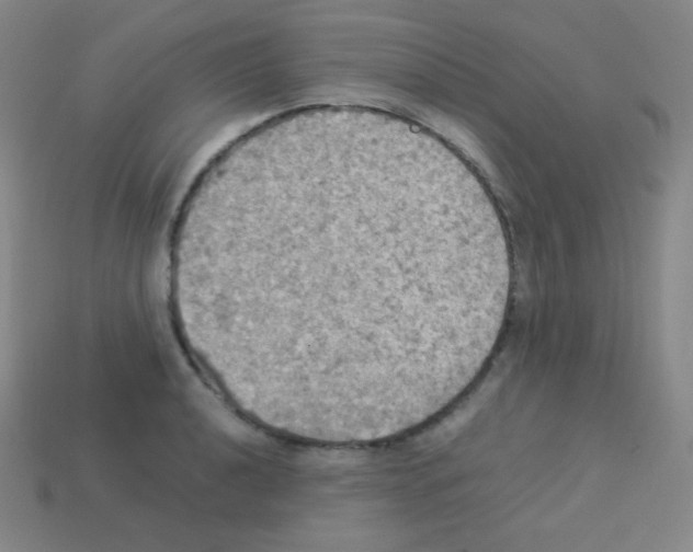 X0000113111040200910091155