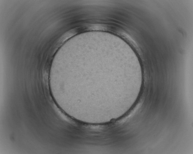 X0000113111041200910091155