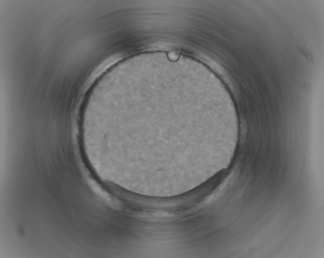 X0000113111042200910091155