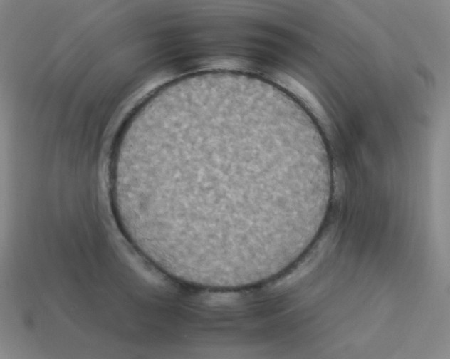 X0000113111043200910091155