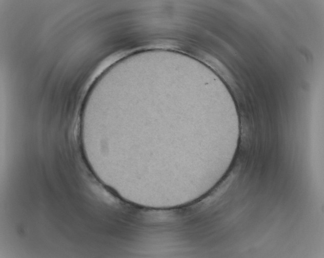 X0000113111044200910091155