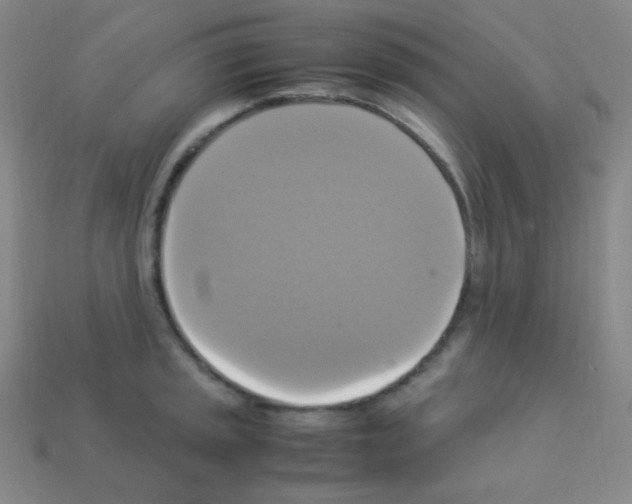 X0000113111045200910091155