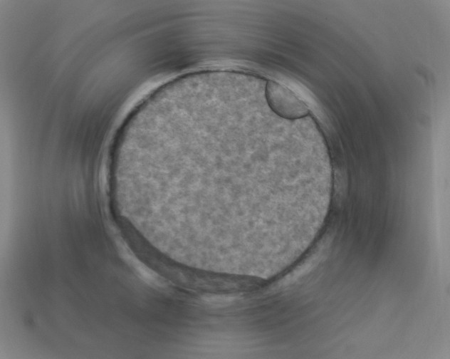 X0000113111046200910091155