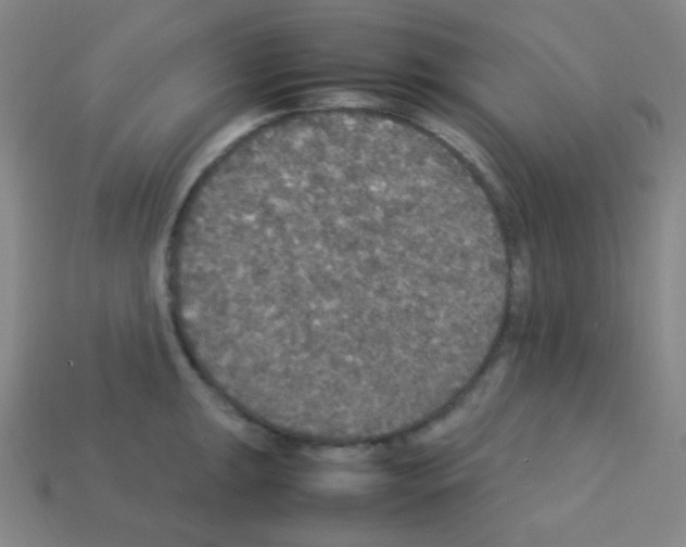X0000113111047200910091155