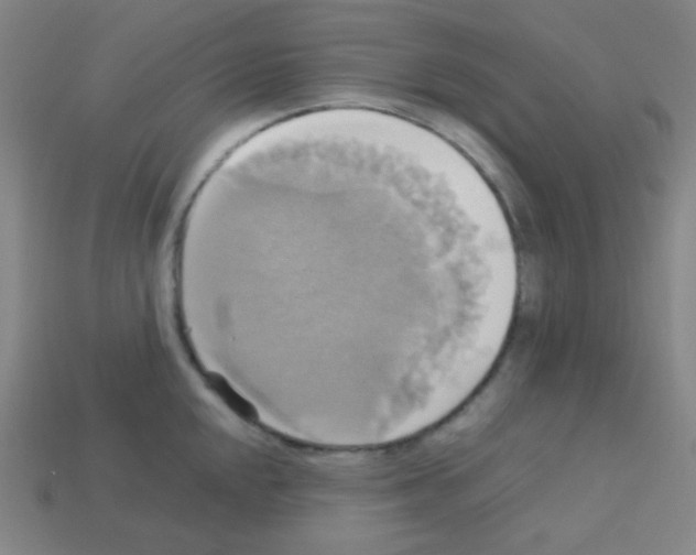 X0000113111048200910091155