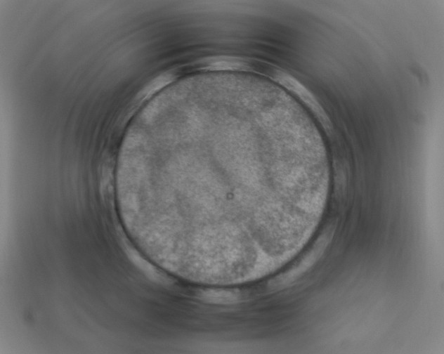 X0000113111049200910091155