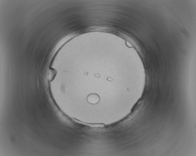 X0000113111050200910091155