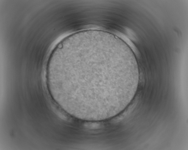 X0000113111051200910091155