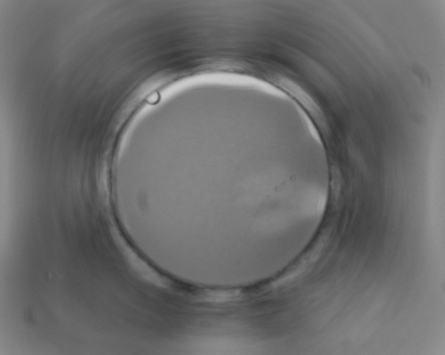 X0000113111055200910091156