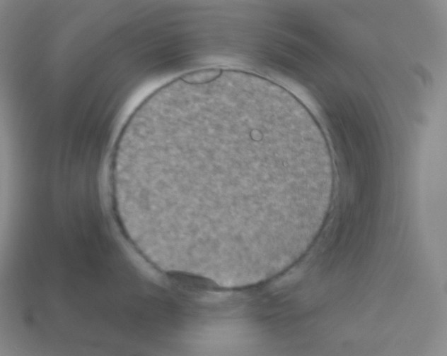 X0000113111056200910091156