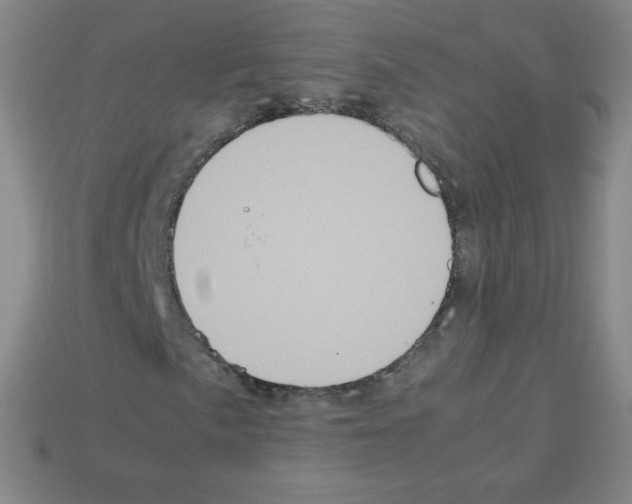 X0000113111057200910091155