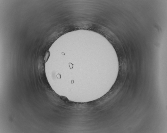 X0000113111058200910091155