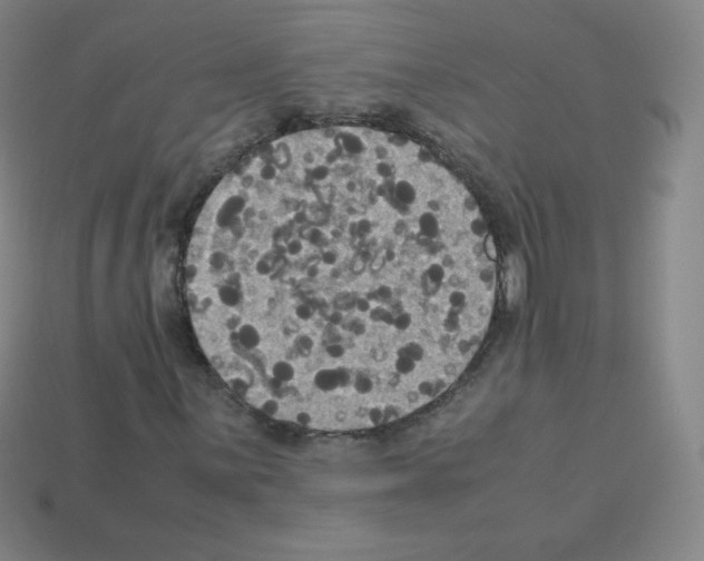 X0000113111059200910091155