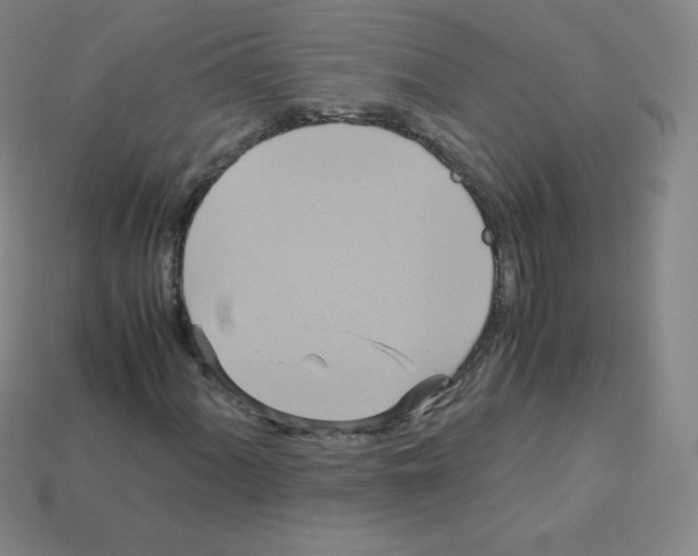 X0000113111060200910091155